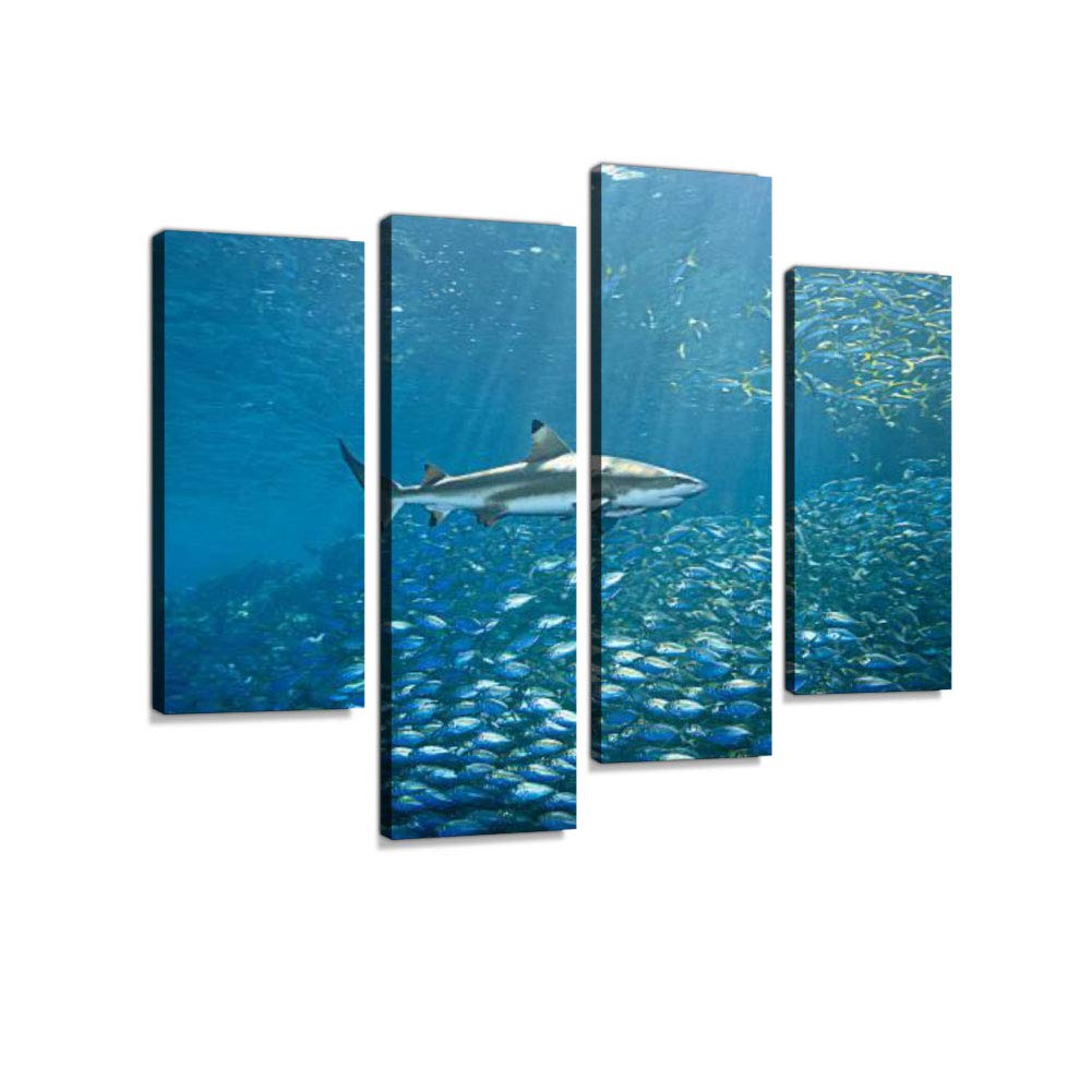 Blacktip Reef Shark and Fish Canvas Wall Art Hanging Paintings Modern Artwork Abstract Picture Prints Home Decoration Gift Unique Designed Framed 4 Panel