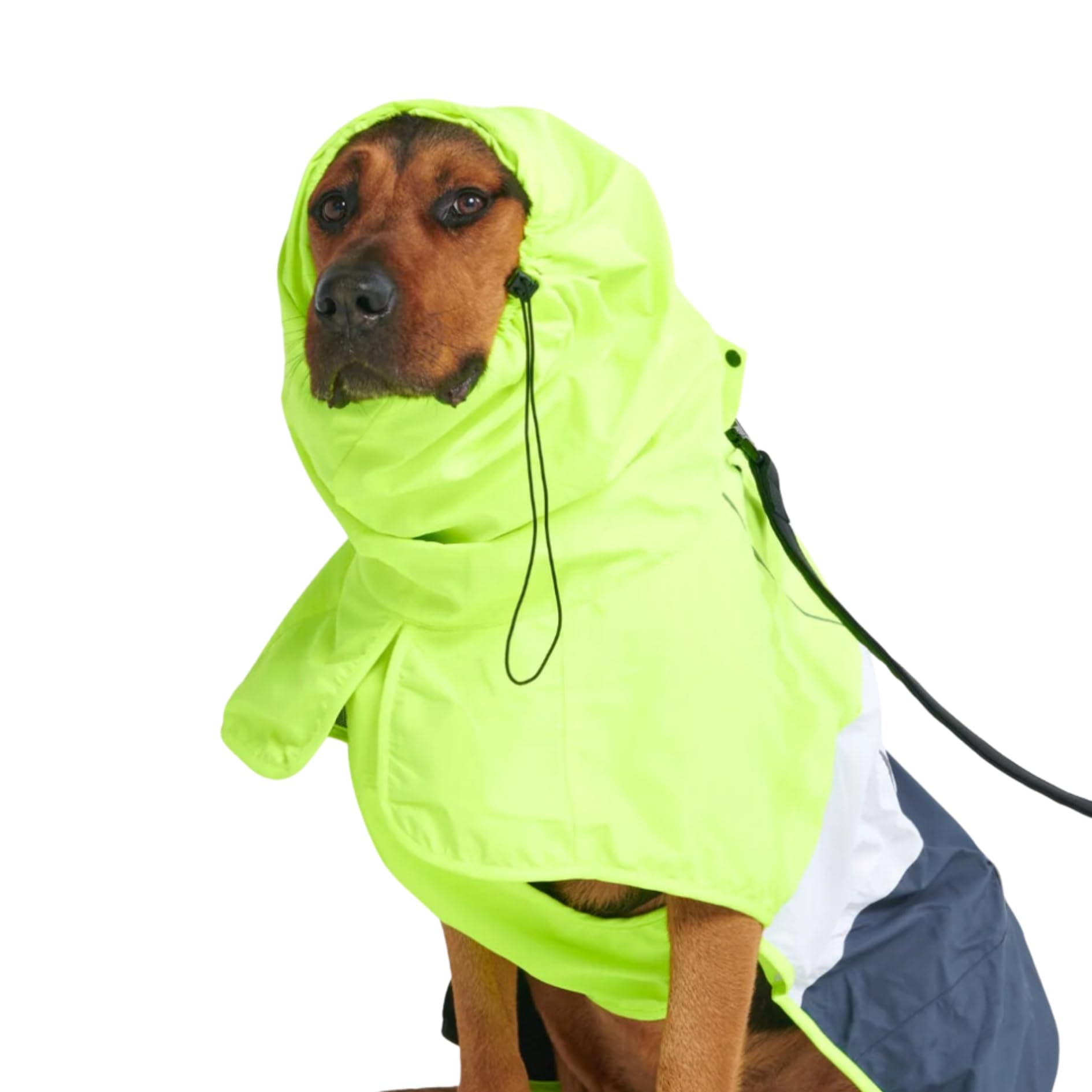 Spark Paws Dog Raincoat, Waterproof Coat Rain Jacket for Small Medium Large Dogs, Reflective Breathable Full-Body Coverage - Neon White Navy Blue, 4XL