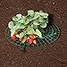 KINGLAKE Strawberry Supports,Plant Support 6 Pcs,Great for Keeping Fruit Elevated to Avoid Ground Rot