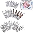 SIPLIV 30 Pcs Stainless Steel Comic Pen Nib Calligraphy Pen Nibs Dip Pens Nibs Set, Manga Nibs Fountain Pen Nibs Replacements
