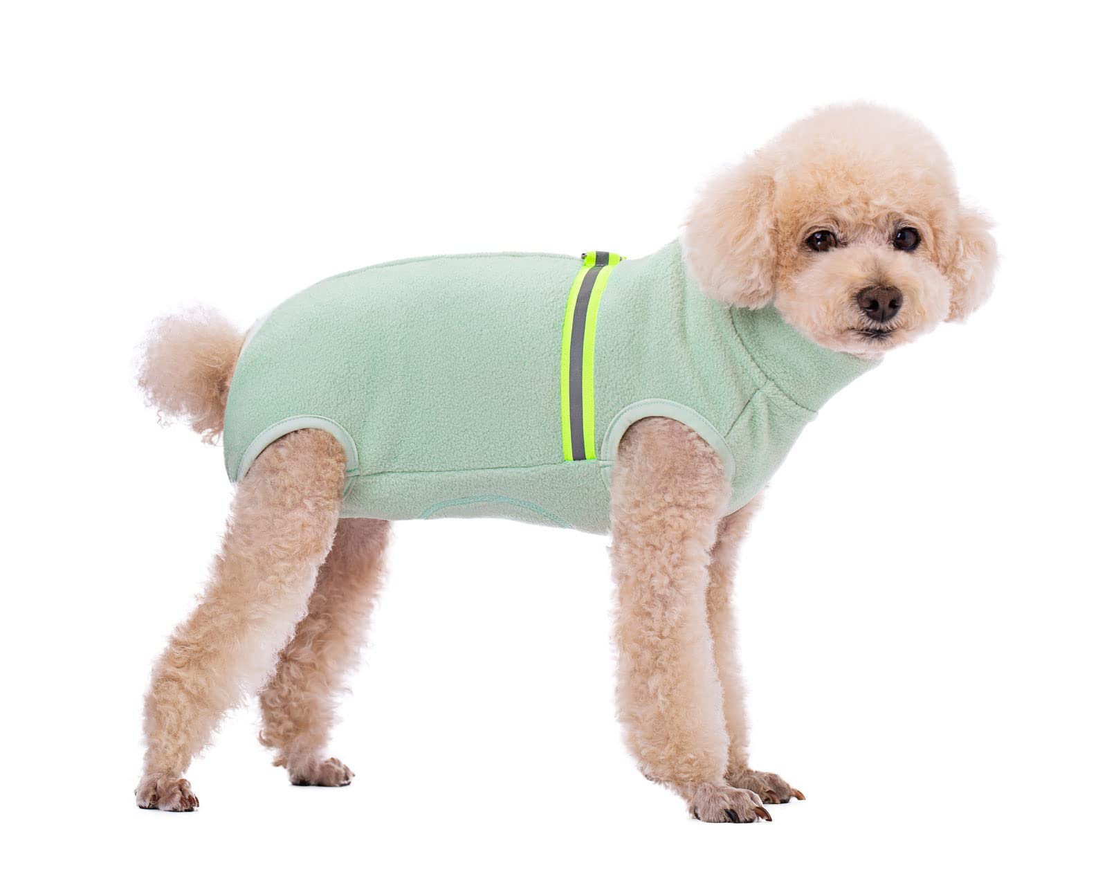 BT Bear Cosy Polar Fleece Coat for Dogs, Full Body Jacket, Dog Onesie With D Ring Reflective Jumpsuit, Winter Clothes for Pet Dog Outdoor or Indoor, Mint Green, L