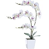 YSZL Faux Orchid in Vase Tall Artificial Orchid in Ceramic Vase Tall Silk Orchids with Stems Real Look Potted Fake Phalaenopsis Arrangement Centerpiece Table Decorations for Home Decor Indoor, White