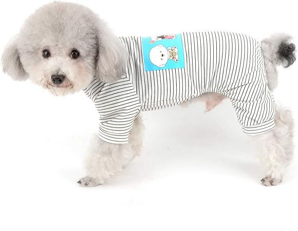 chihuahua clothes amazon