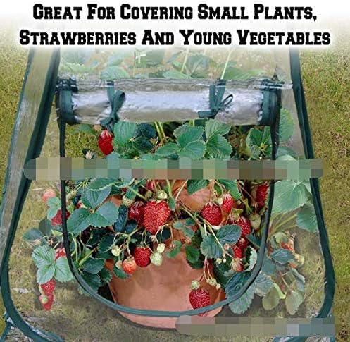 song store Pop Up Backyard Greenhouse Cover For Cold Frost Protector Gardening Plants