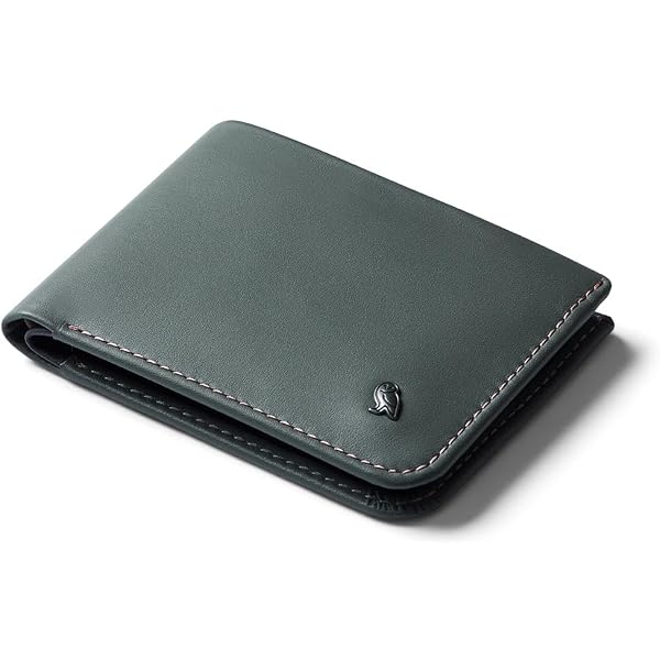 Amazon.com | Bellroy Travel Wallet, travel document holder