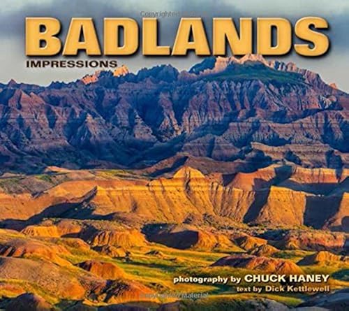 Download Badlands Impressions PDF