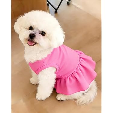 Amazon.com New Releases: The best-selling new & future releases in Dog  Dresses
