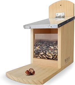 Eichhörnchen Futterhaus Sitzbrett