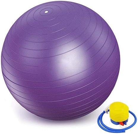 章 部分 文 バランス ボール 出産 I Marusho Jp