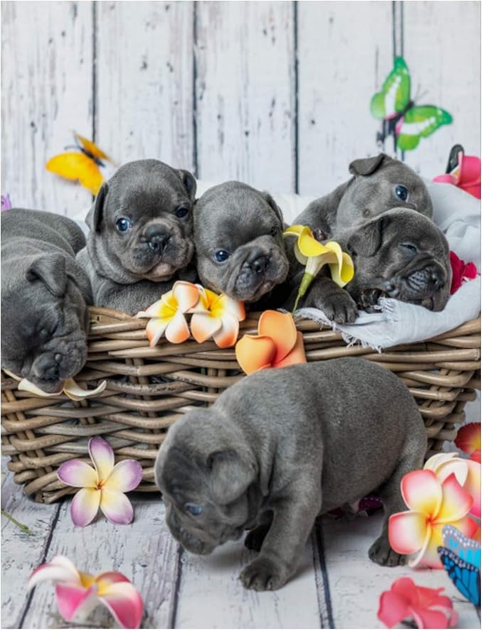 Amazon.com: 5d DIY Diamond Art Kits for Adults Adorable Dog Puppies
