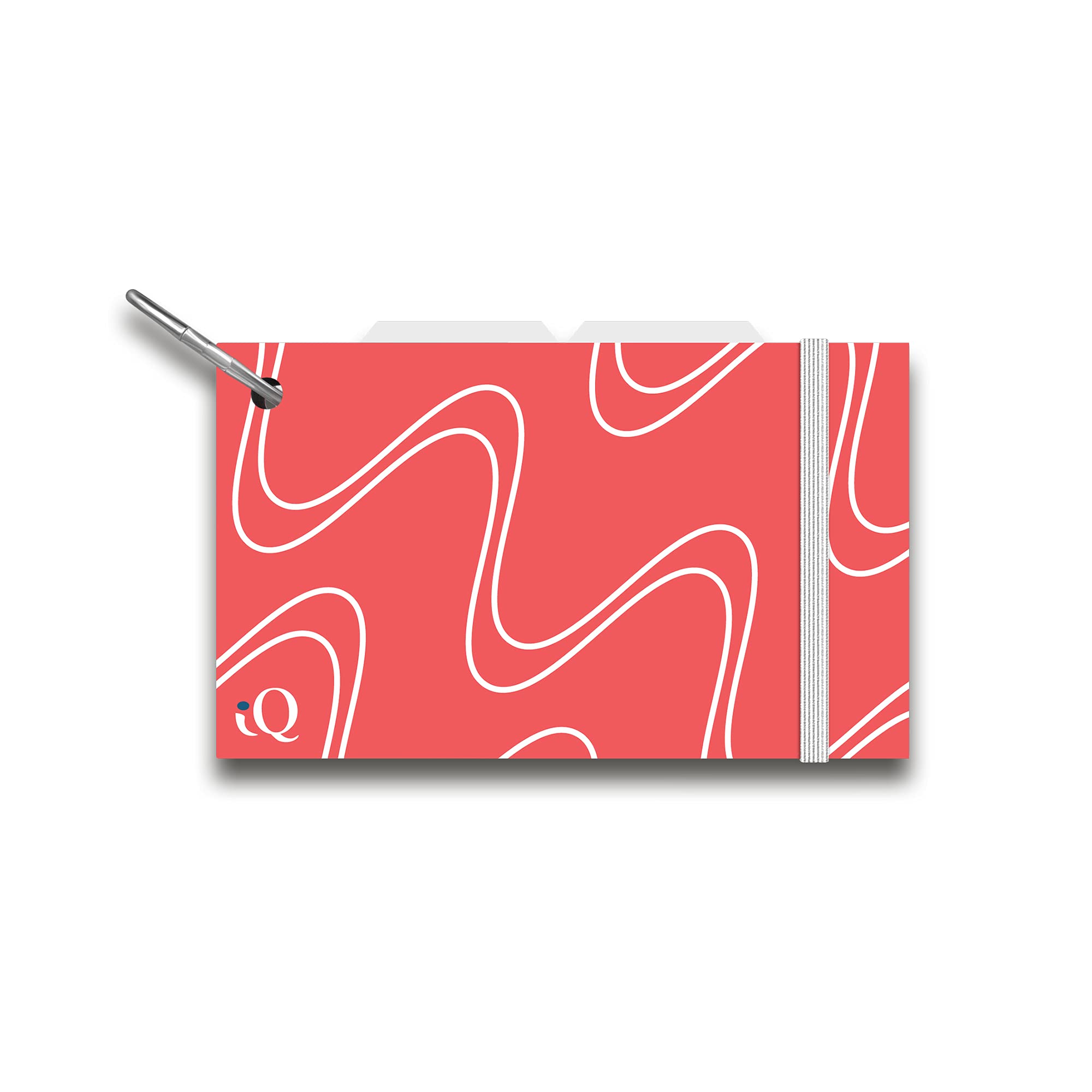 iScholar Poly Cover Index Cards, with Ring, Cover Color May Vary (03510)