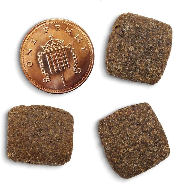 canagan dog food amazon