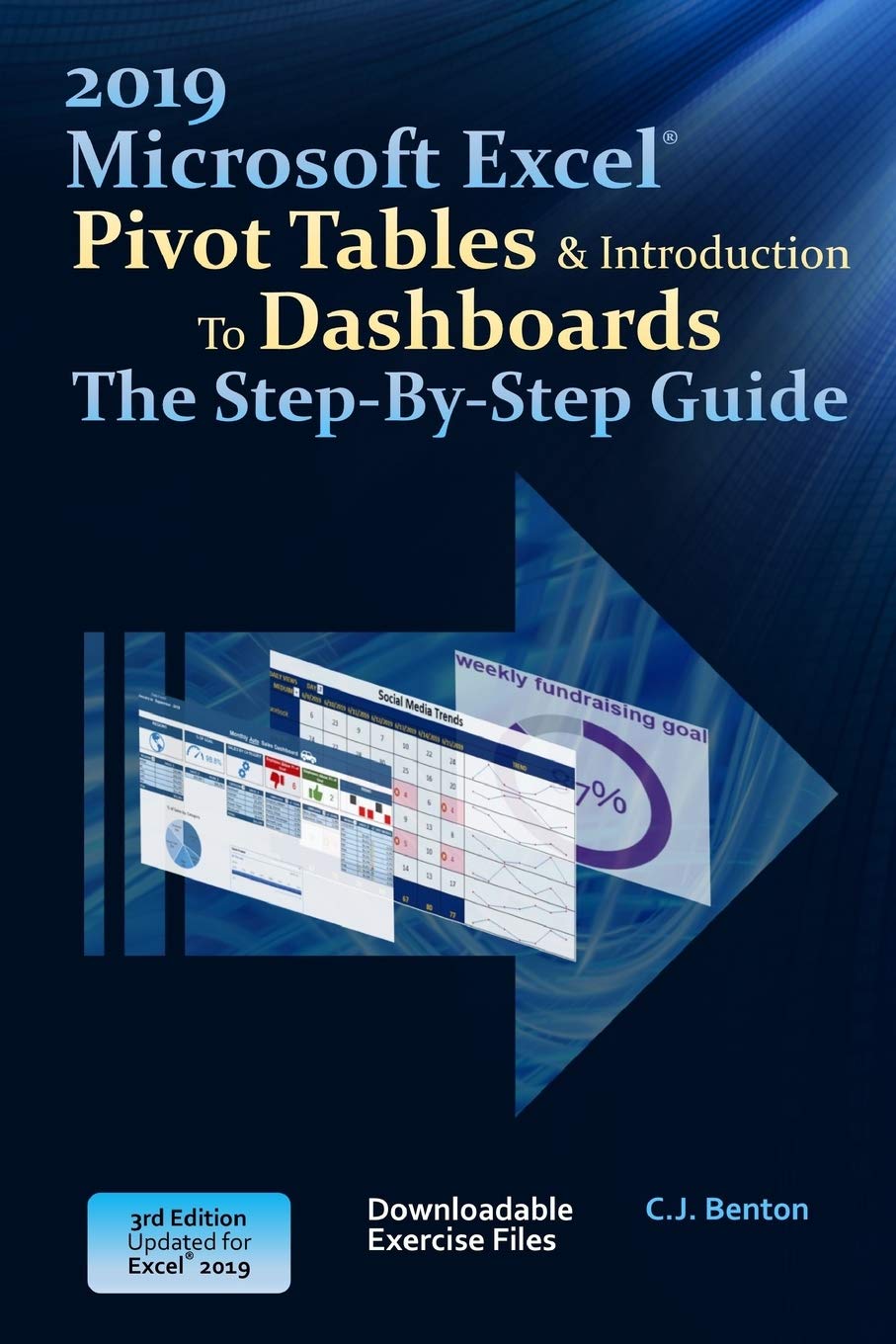 Excel 2019 Pivot Tables & Introduction To Dashboards The Step-By-Step Guide: 2 (The Excel 2019 Step-By-Step Series)