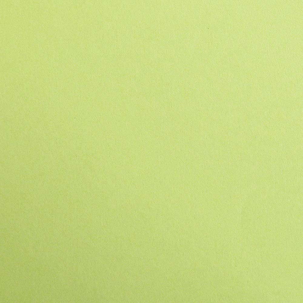 Clairefontaine - Ref 97452C - Maya Coloured Smooth Drawing Paper (Pack of 25 Sheets) - 270gsm Paper - A4 (29.7 x 21cm) - Moss Green Colour - Deep Dyed, Acid Free, pH Neutral