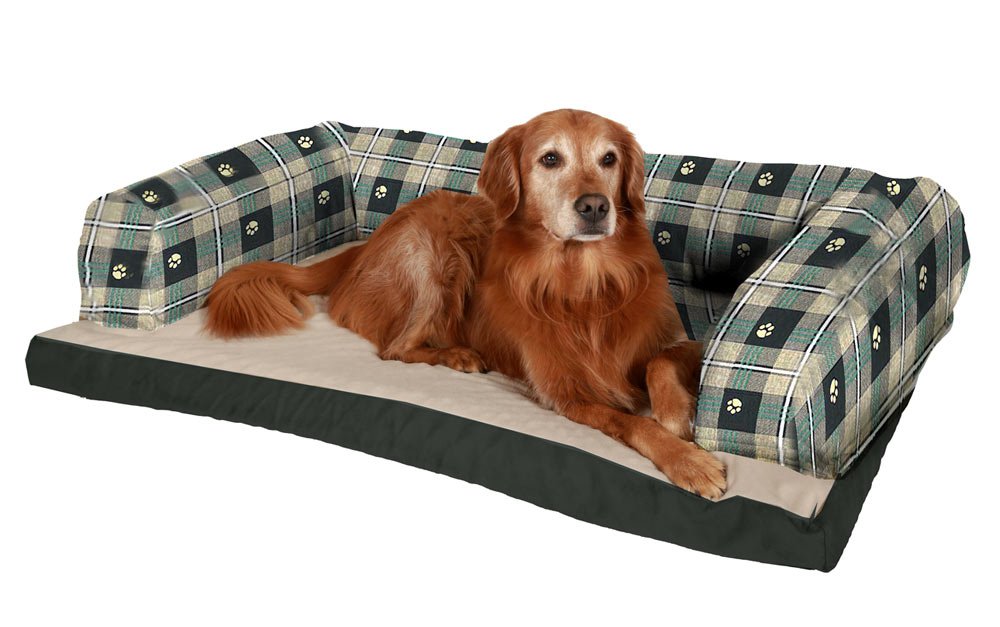 Best Couches for Dogs Top Dog Couches and Review