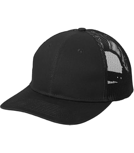 Amazon.com: Port Authority Low Profile Snapback 5- Panel Trucker