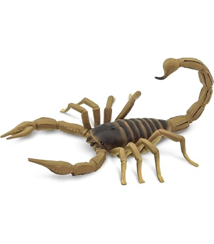Amazon.com: Bandai DX God Scorpion : Toys & Games