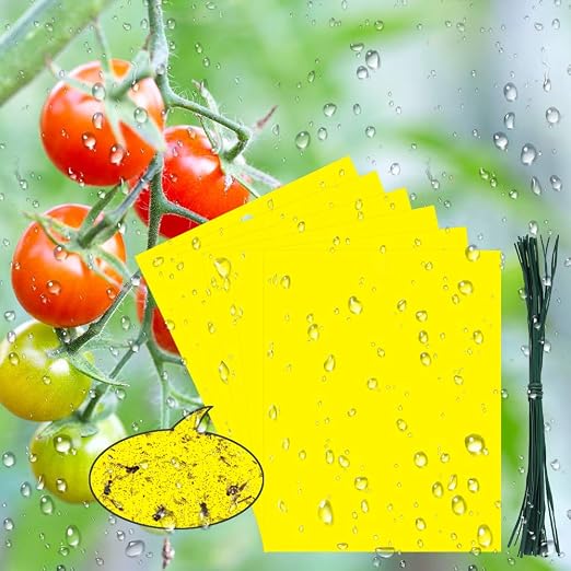 BUZIFU 30pcs Trampas para Insectos Trampas Pegajosas de Doble Cara ...