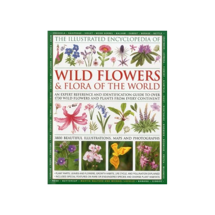 Buy Illustrated Encyclopedia of Wild Flowers & Flora of the World