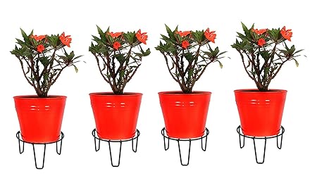 Capslock Indoor/Outdoor Metal Plant Stand/Pot Stand (4 Pot Holder Black) - Height - 10 cm & Diameter - 26 cm.