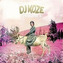 邦楽 DJ Koze - Knock Knock (2xLP, Album + 7\") DJ Koze - Knock Knock - Amazon.com Music