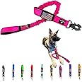 Heavy Duty Bungee Dog Leash - Shock Absorbing, Seat Belt Clip, Quick Release Frog Clasp, Double Padded Handles, for Large and Medium Dogs, Durable for Training, Walking, Car Safety, Outdoor Adventure