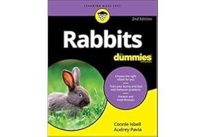 Rabbits For Dummies
