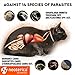 Flea & Worm Collar for Cats – Flea Control and Tick Treatment – Better than Oral Flea Control – Cat Dewormer – Cat Worm Treatment for Tapewormsthumb 2