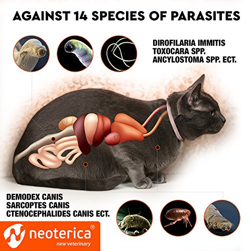 Rolf Club 3D Flea & Worm Collar for Cats and Small Dogs Flea Control