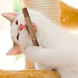 olyee Silvervine Cat Chew Sticks Kitten Toys Dental Health Natural view 5