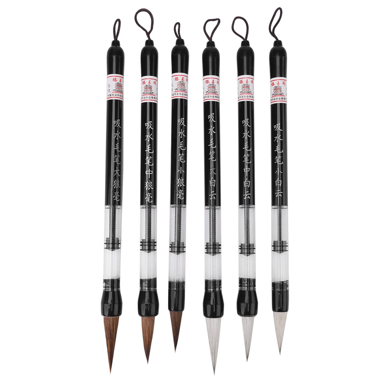 6pcs Piston Fill Chinese Water Brush Pen for Calligraphy on Water Writing Cloth, Reusable