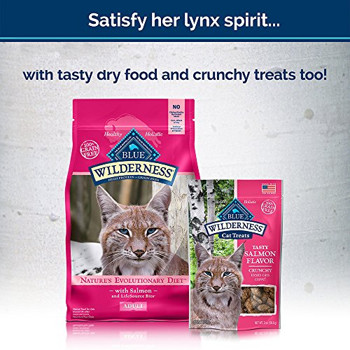 BLUE Wilderness Adult Grain Free Salmon Pate Wet Cat Food 3oz pack of