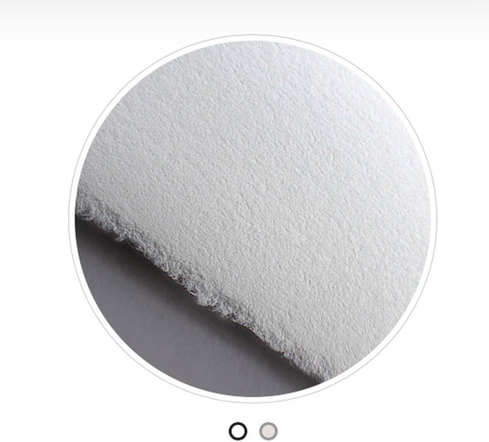 Arnhem 1618 Standard White Printmaking Paper, 22 X 30 inches, 245GSM, 25 Sheets Per Package (007000)