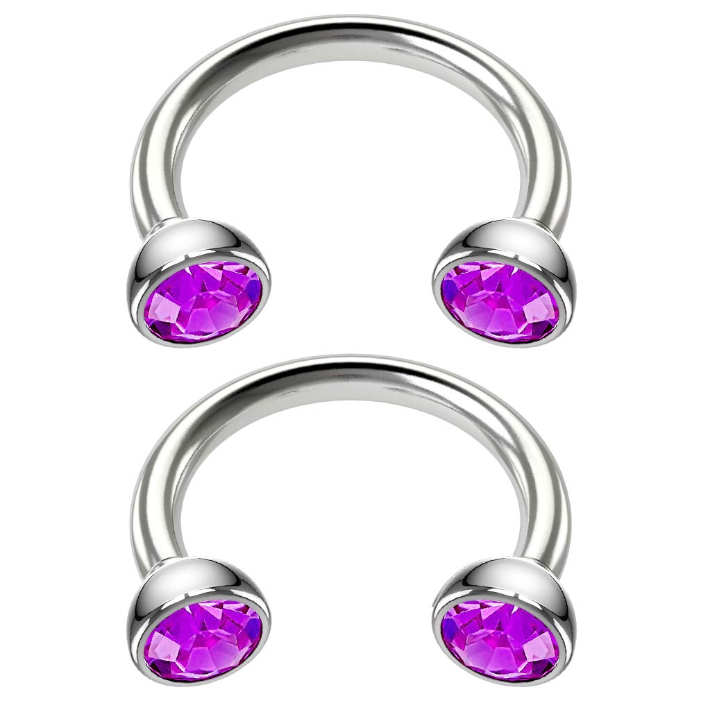 Bling Piercing 2pc 16g 1.2mm Stainless Steel Circular Barbell Horseshoe Bar Crystal Tragus Earrings Amethyst Crystal 8mm