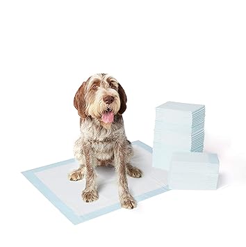 Pets Training and Puppy Pads, Potty Training Pad, Indoor Puppy Training, 50 Pcs