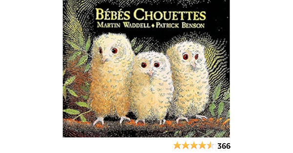 Bebes Chouettes Kaleidoscope French Edition Wadell Martin Benson Patrick Finkenstaedt Isabel Amazon Com Books
