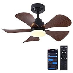 COCOSTAR Ceiling Fans with Lights and Remote/APP