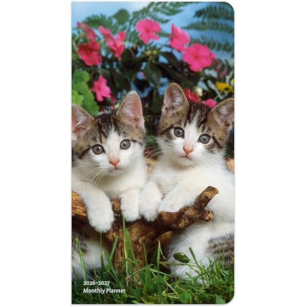 【完売品】ダイヤモンドアートクラブ　Rolo the Ragdoll Cat 完売品】ダイヤモンドアートクラブ Rolo the Ragdoll Cat I