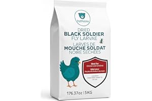 Dried Black Soldier Fly Larvae for Chicken and Wild Bird