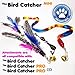 Mini Cat Feather Wand Toy Set with 2 Guinea Fowl Feather Refills 1 Ribbon and Wooden Rod