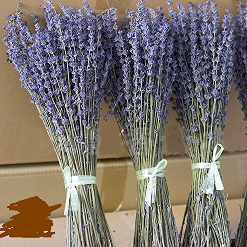 image for Aodicon Natural Lavender Dried Flower Bundles - 200 Stems - Can Be Use
