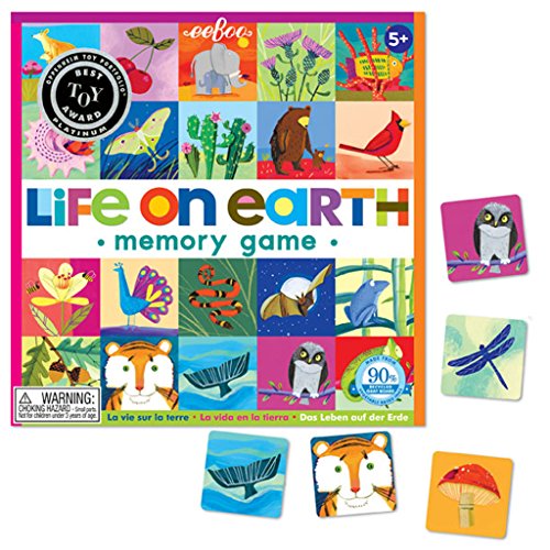 Eeboo Life on Earth Matching Game