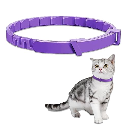Adjustable Cats Kittens Collar, Cat Calming Collar, Cat Safety Collar for Kittens Small Medium Large Cats Outdoor Indoor, Safe Comfortable Waterproof (Purple,Lavender Scent)