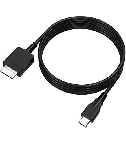 Amazon.com: Sony Walkman NW-E405 Phone Charging USB 2.0 Data Cable