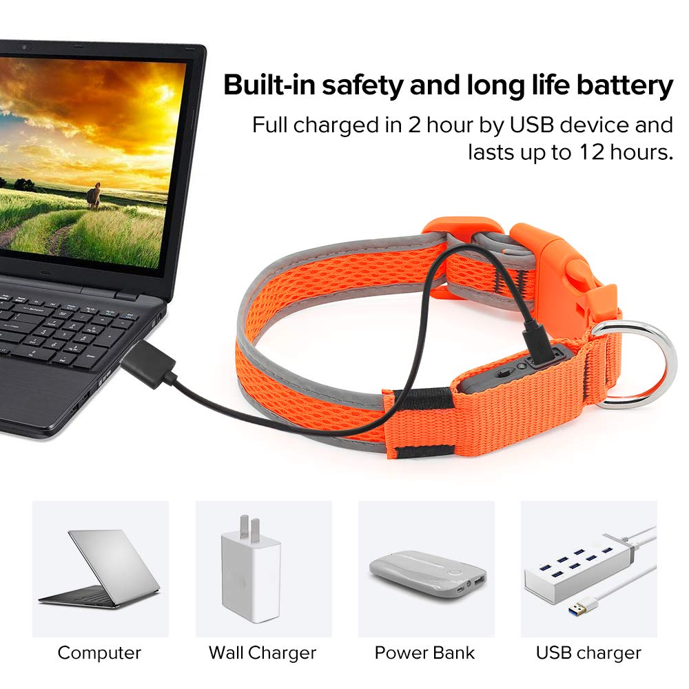 Ezier LED Dog Collar- USB Rechargeable Glow in The Dark Led Pet Collar- Light Up Dog Necklaces to Keep Your Dogs Be Seen& Safe (L, Orange)