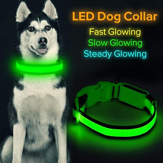 sled dog collars