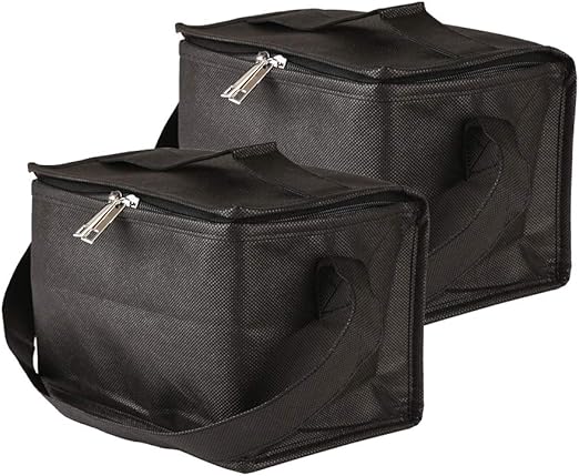 eco friendly lunch bags for adults