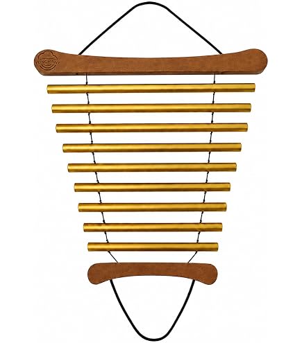 Amazon.com: Latin Percussion LP449C Solid Bar Chimes Concert(25)Sp