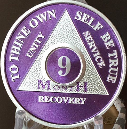 9 Month Purple Silver Plated AA Medallion Chip