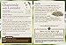 Traditional Medicinals Organic Chamomile with Lavender Tea, Single Serve Cups for Keurig K-Cup Brewers, 10 Count